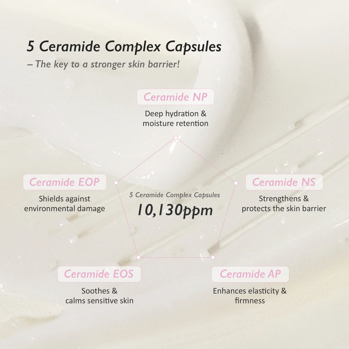 Black Rice 5 Ceramide Barrier Moisturizing Cream de Haruharu Wonder